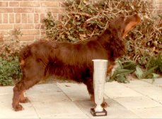 lady lucille 1984 